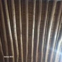 مدارک گم شده