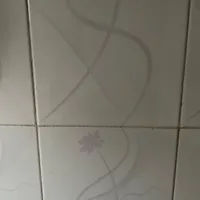 چندنفراستادکار کاشیکاری برای سلیمانیه