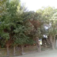 چهار دیواری نیمه ساز 500متری