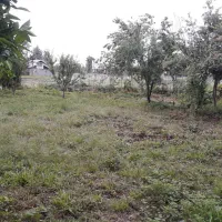 فروش زمین|فروش زمین و ملک کلنگی|سنگر, |دیوار