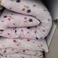 فرش۶متری/تشک/گلدان/تخت کودک|فرش|ایلام, |دیوار