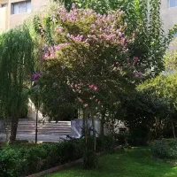 اجاره واحد مسکونی|اجارهٔ آپارتمان|تهران, فردوسی|دیوار