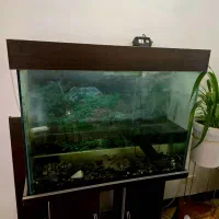 آکواریوم کمد دار