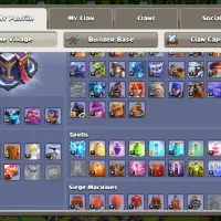 ۲ عدد تان ۱۵ لوکال امریکا