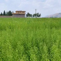 فروش زمین و باغ در قلب تاریخ ایران|فروش زمین و ملک کلنگی|تهران, الهیه|دیوار