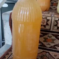 آبغوره شیراز|خوردنی و آشامیدنی|قم, نوبهار|دیوار