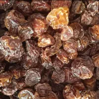 آلوچه بومی فریدن
