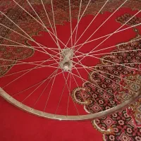 دوچرخه کورسی و رینگ|دوچرخه، اسکیت، اسکوتر|شیراز, کیان شهر|دیوار