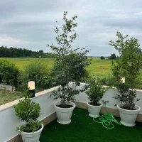ویلانماانگلیسی رویایی/ روف گاردن /ابنما|فروش خانه و ویلا|چمستان, |دیوار