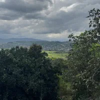 500 متر زمین بافت ویو ابدی در بابلکنار|فروش زمین و ملک کلنگی|شیرگاه, |دیوار