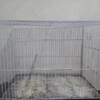 قفس|لوازم جانبی حیوانات|مشهد, پنجتن|دیوار