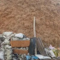 یونجه|لوازم جانبی حیوانات|خوی, |دیوار