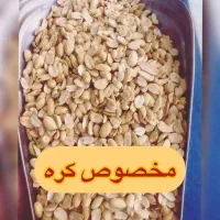 بادام زمینی کره گیری|عمدهفروشی|شیراز, پایانه مسافربری سعدی|دیوار