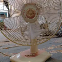 پنکه