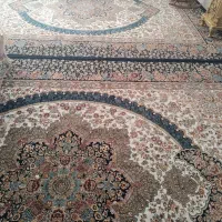 فرش|فرش|مشهد, شفا|دیوار