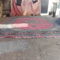 قالی ۷۰۰ شانه