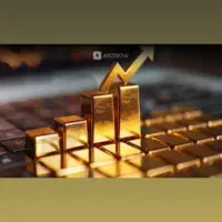 آموزش فارکس،تضمینی