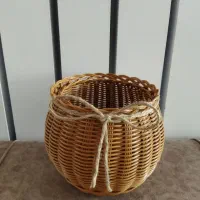 نظم دهنده