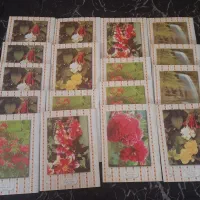 تعداد محدودی دفاتر قدیمی و کلکسیونی ۱۰۰برگ