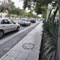 مشارکت 280 متری  + صیاد
