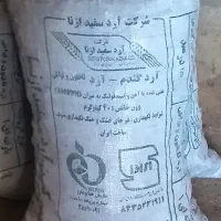 ۳۸۰|کوهنوردی و کمپینگ|کوهدشت, |دیوار