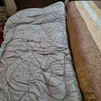 تخت