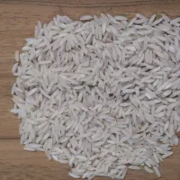 برنج هاشمی درجه یک محصول امسال مزرعه خودم