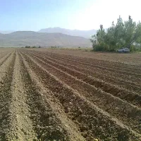 فروش زمین هزارمتری باقیمت پایین