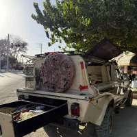 جیپ سیمرغ|خودرو سواری و وانت|اندیشه, اندیشه فاز ۱|دیوار