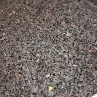 خوردن وآشامیدن