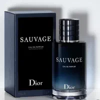 ادکلن مردانه دیور ساواج 100 میل