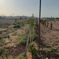 زمین باغی دارای مجوز جهاد|فروش زمین و ملک کلنگی|رباطکریم, الارد|دیوار