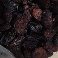 فروش مویز