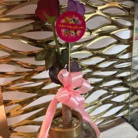 گل رز طبیعی