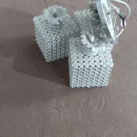 لوسترسه شاخ