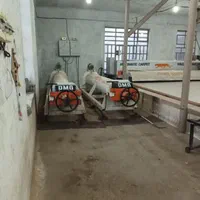 قالیشویی پیشوا