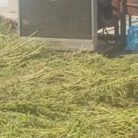 موتور دیزلی|ماشین‌آلات صنعتی|لار, |دیوار