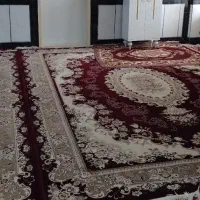 ۳تخته فرش ۱۲متری ۵۰۰شانه اصل