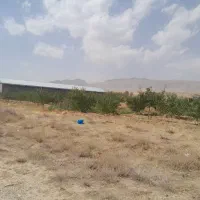 دامداری حدود 3000 متر در قوشجی|فروش دفتر صنعتی، کشاورزی، تجاری|انزل, |دیوار