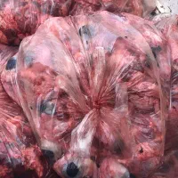 فروش جگرسفید گوساله