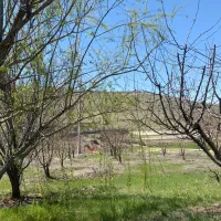 زمین خانه خمیس شرایطی