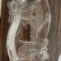 ظروف پذیرایی