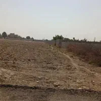 زمین-250-متری