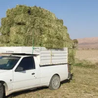 بار برگشتی از تهران به خمین قیمت مناسب