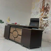 همکار خانم با درآمد عالی