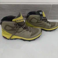 سالامون اصل