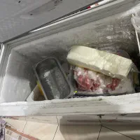 یخچال و فریزر / یخچال ایستاده / فریزر صندوقی|یخچال و فریزر|نیشابور, شهرک قدس|دیوار