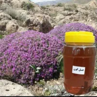 عسل گون|خوردنی و آشامیدنی|قم, آزادگان|دیوار