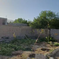 خانه در گلباف|فروش خانه و ویلا|گلباف, |دیوار