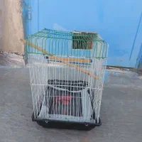 قفس پرنده|لوازم جانبی حیوانات|امیدیه, |دیوار